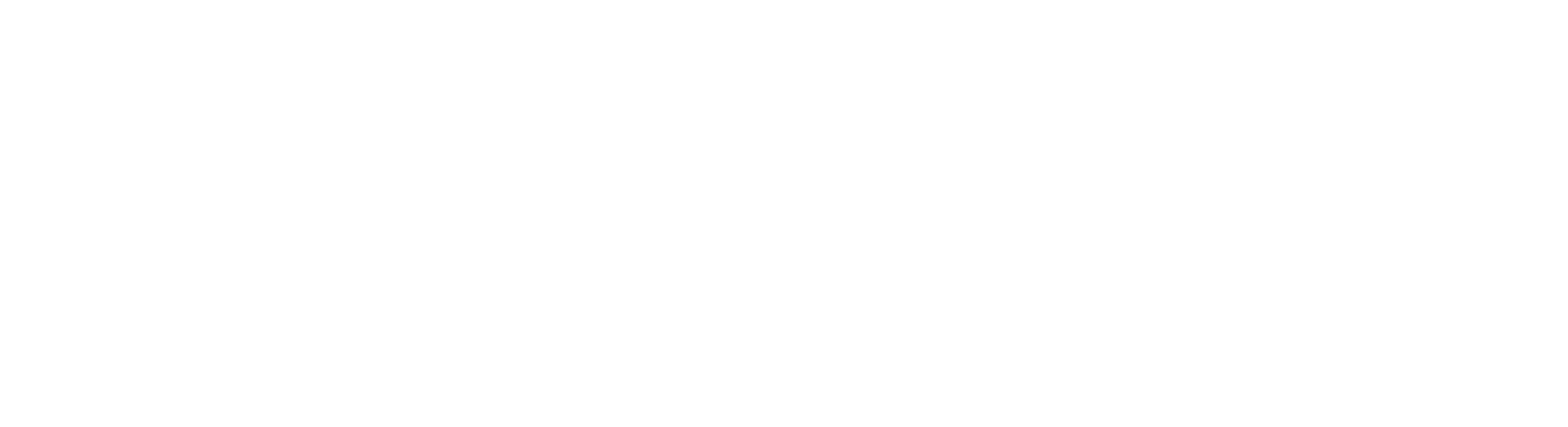 Logo-Digipro-White.png